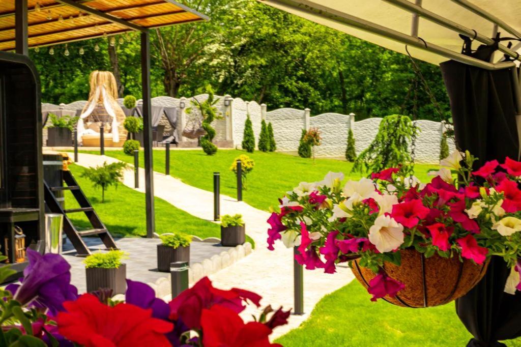 Valea Magurii Maison d'hôtes 4*