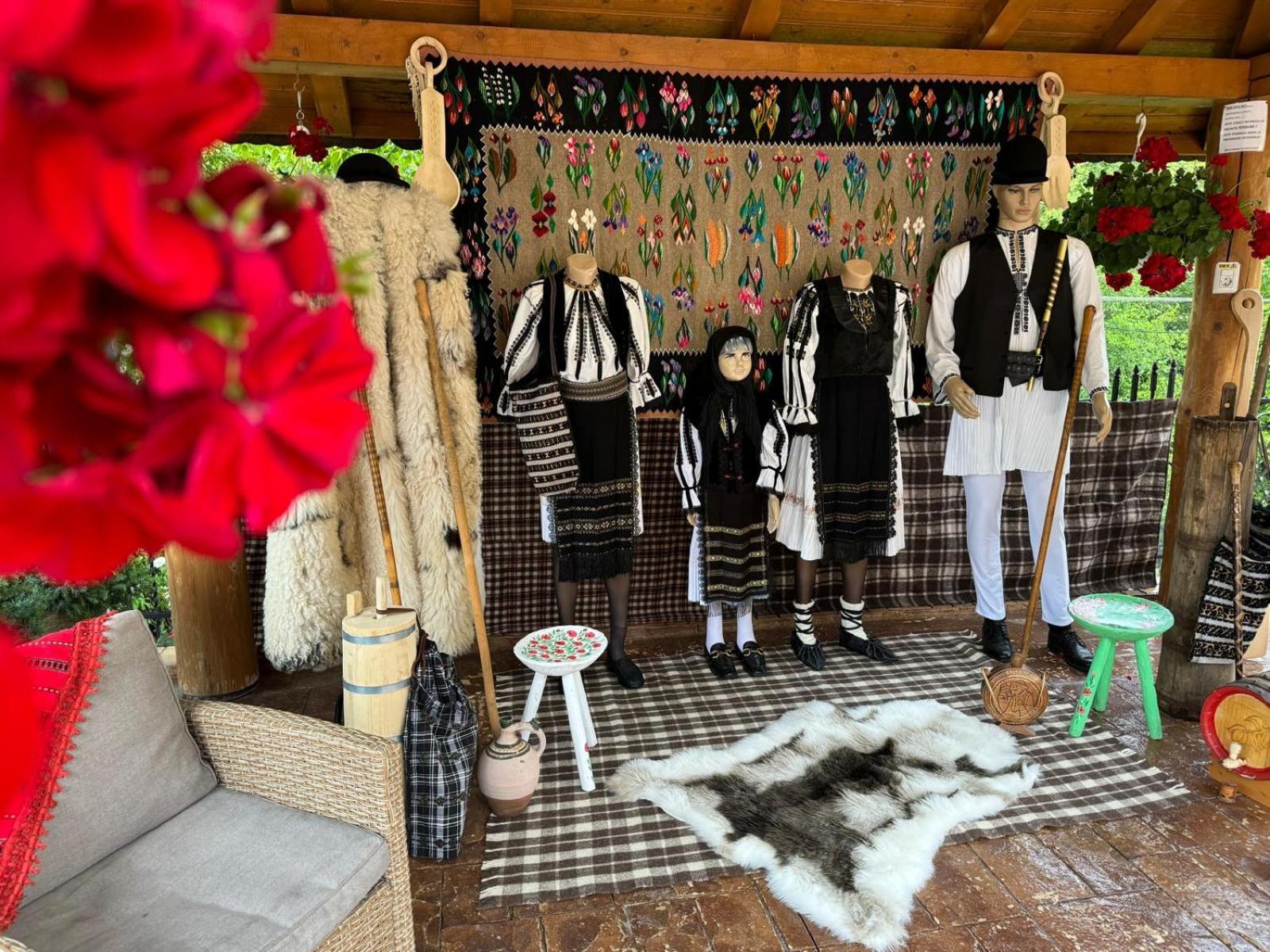 Valea Magurii Maison d'hôtes