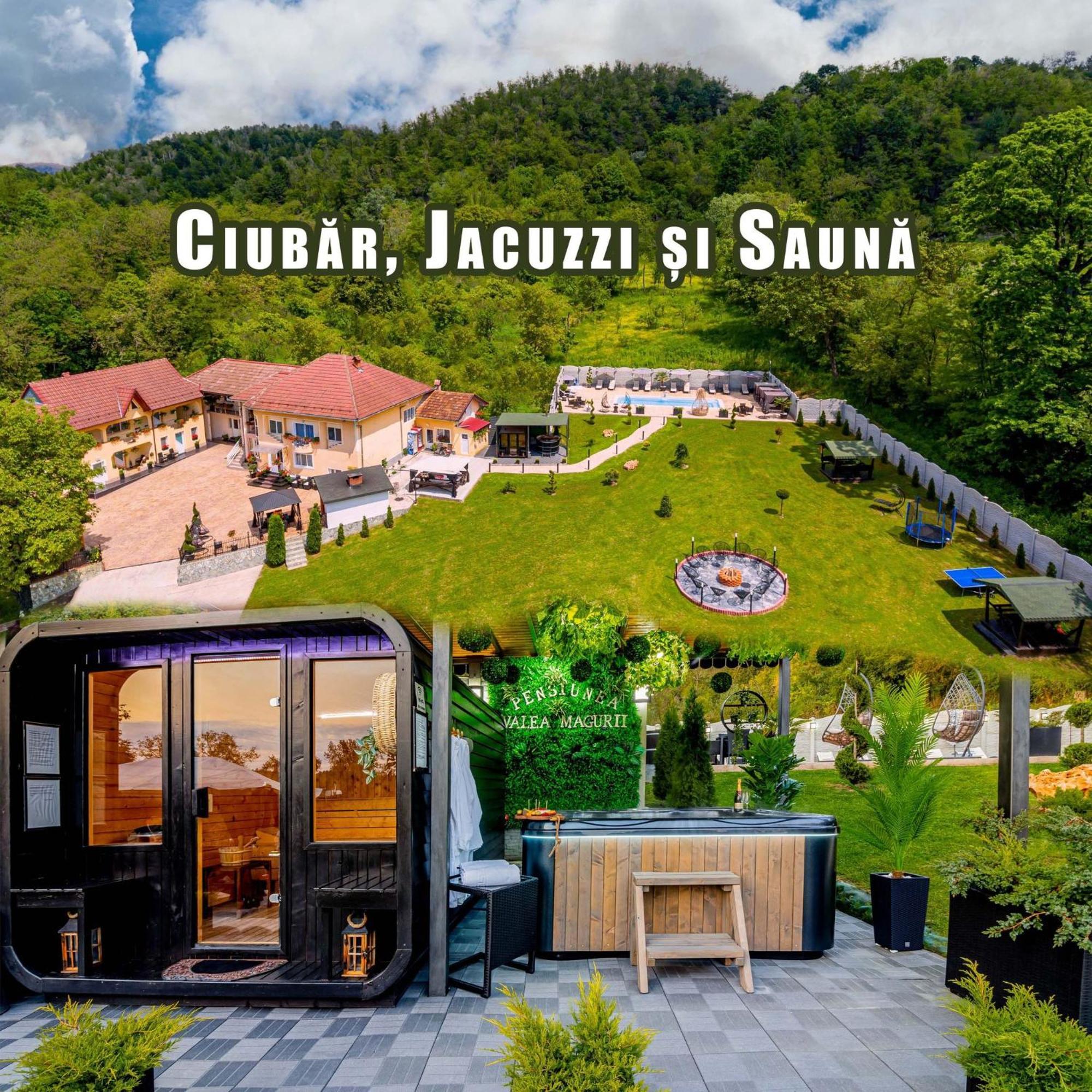 Valea Magurii Novaci-Străini